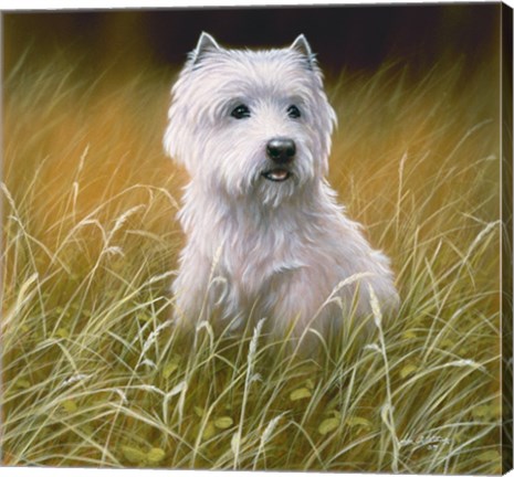Framed Westie 4 Print