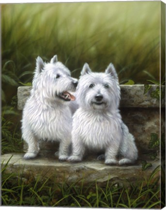 Framed Pair of Westies Print