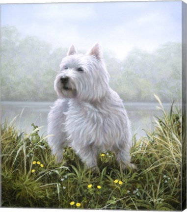 Framed Westie 5 Print