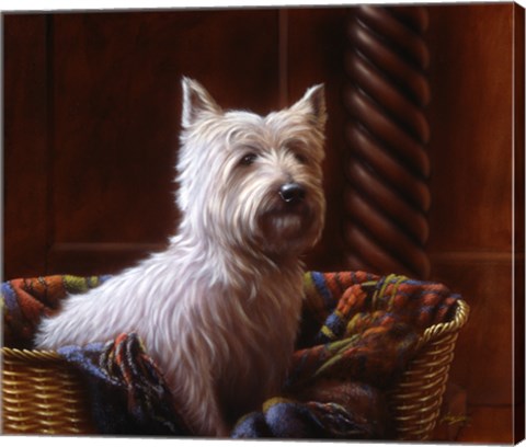 Framed Westie 7 Print