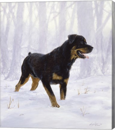 Framed All White Print