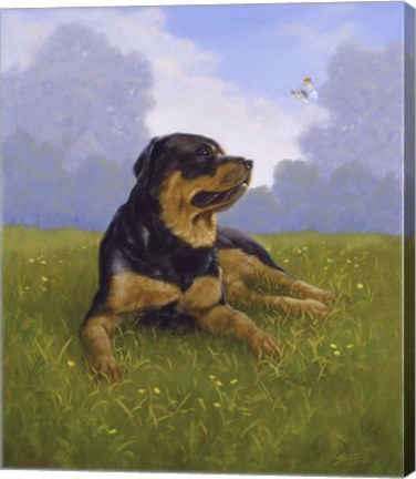 Framed In the Hills Print