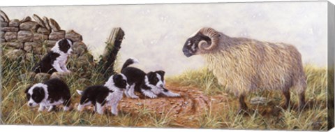 Framed Minding the Ram Print