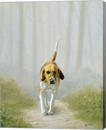 Framed Down the Path Print