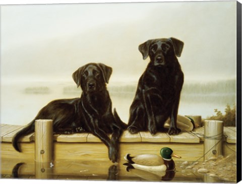 Framed On the Jetty Print