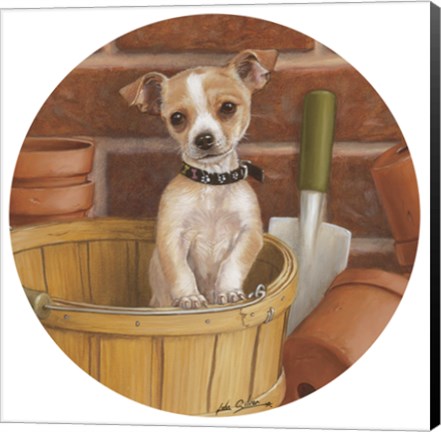 Framed Chihuahua In Basket Print