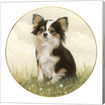 Framed Chihuahua in Field Print