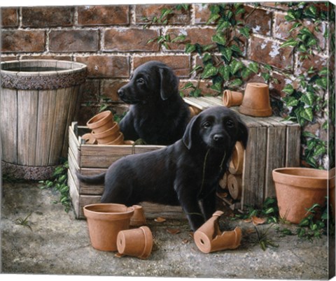 Framed Among the Flower Pots Print
