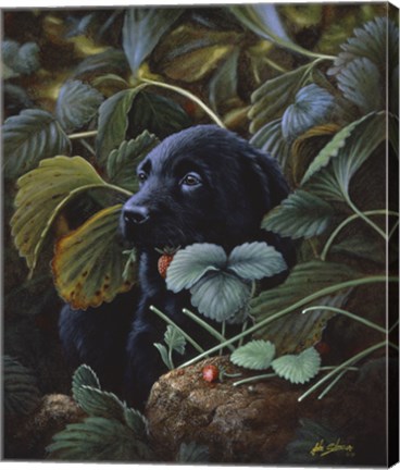 Framed Hidding Print