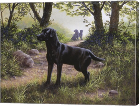 Framed On Alert Print