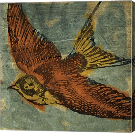 Framed Bird Collage No 1 Print