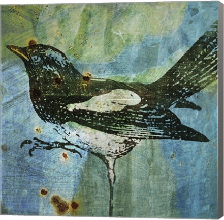 Framed Magpie Print