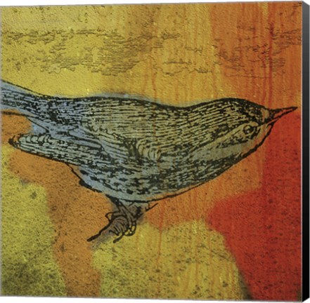 Framed Warbler 1 Print