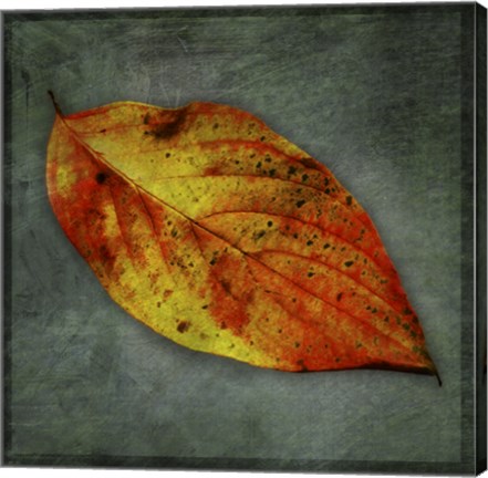 Framed Dogwood Yellow Print