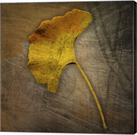 Framed Gingko 1 Print