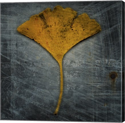 Framed Gingko 2 Print