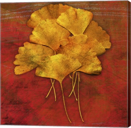 Framed Gingkos #2 Print