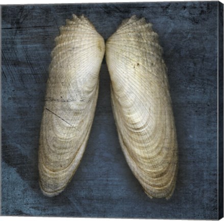 Framed Angel Wings Print