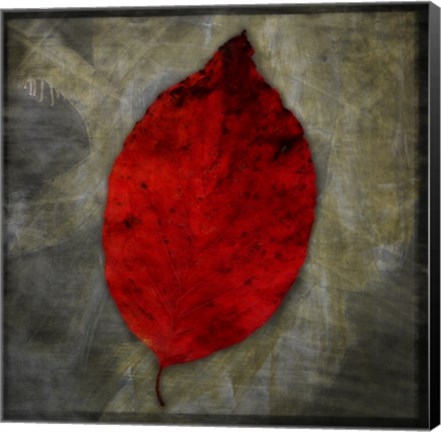 Framed Red Dogwood Print