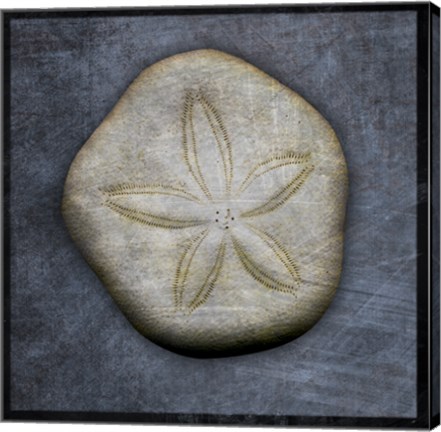 Framed Sea Biscuit Print