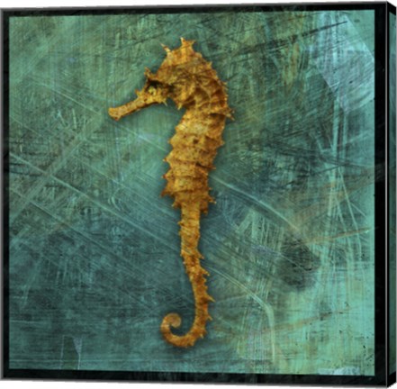 Framed Seahorse Print