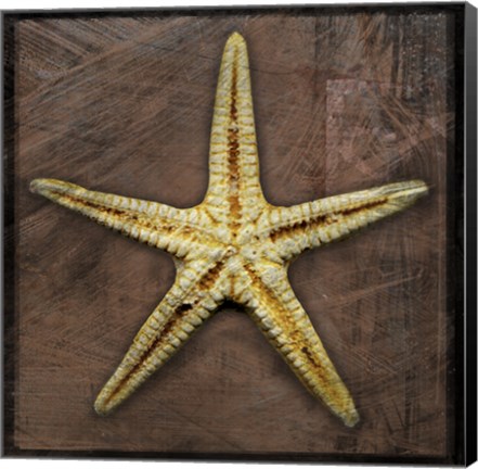Framed Starfish Print