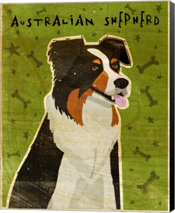 Framed Australian Shepherd Print