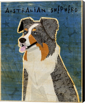 Framed Australian Shepherd Blue Merle Print