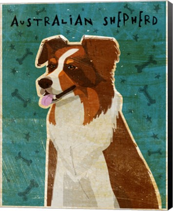 Framed Australian Shepherd Red Print