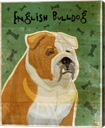 Framed English Bulldog Tan and White Print