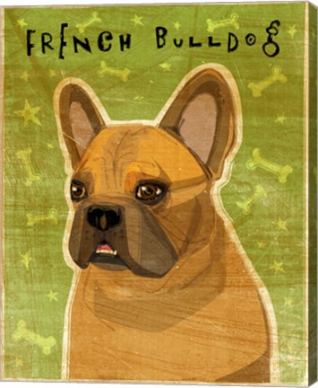 Framed French Bulldog Fawn Print