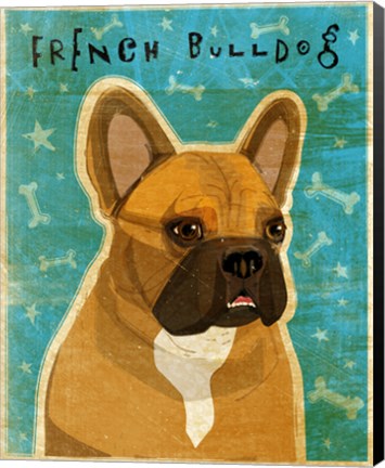 Framed French Bulldog Fawn &amp; White Print