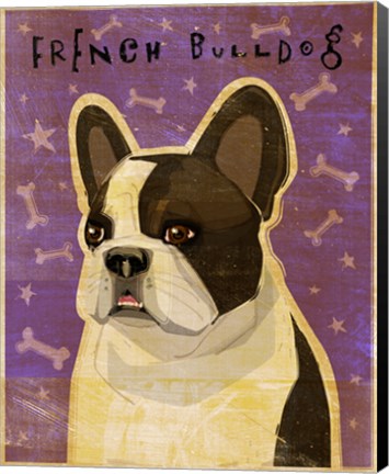 Framed French Bulldog - Whiten Brindle Print