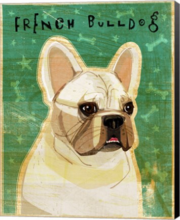 Framed French Bulldog - White Print