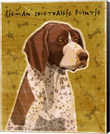 Framed German Shorthaired Pointer Print