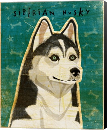 Framed Siberian Husky Print