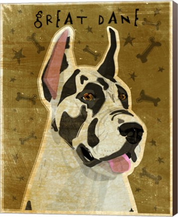 Framed Harlequin Great Dane 1 Print