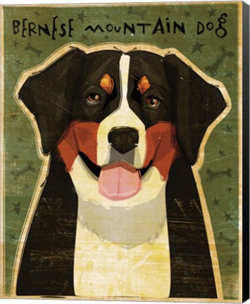 Framed Bernese Mountain Dog Print