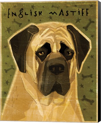 Framed English Mastiff Print