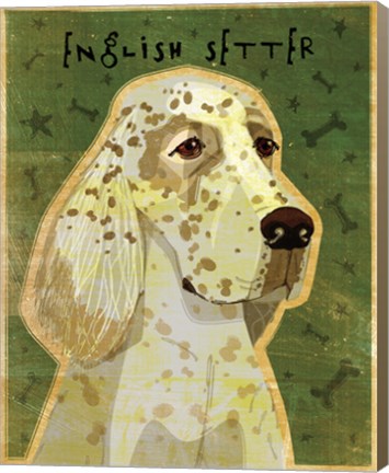 Framed English Setter Print