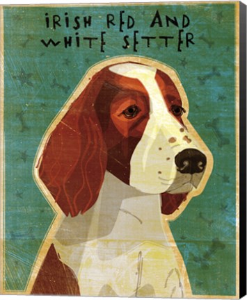Framed Irish Red and White Setter Print
