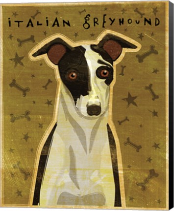 Framed Italian Greyhound - Black and White Print