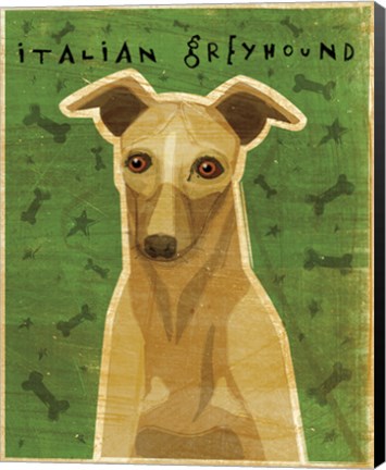 Framed Italian Greyhound - Fawn Print