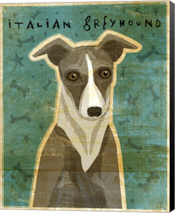 Framed Italian Greyhound - White and Grey Print