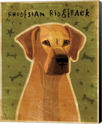 Framed Rhodesian Ridgeback Print