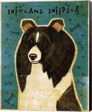 Framed Shetland Sheepdog - Black and White Print
