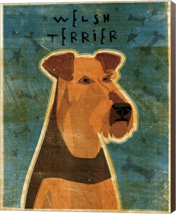 Framed Welsh Terrier Print