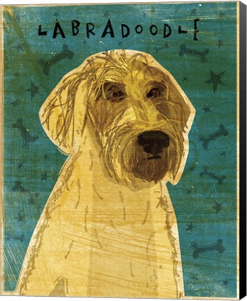 Framed Yellow Labradoodle Print