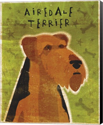 Framed Airedale Print