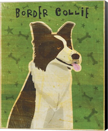 Framed Border Collie Print